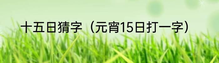 十五日猜字（元宵15日打一字）