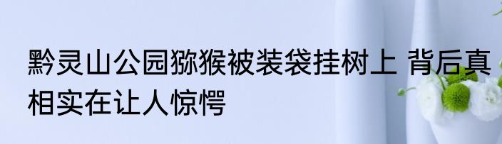 黔灵山公园猕猴被装袋挂树上 背后真相实在让人惊愕