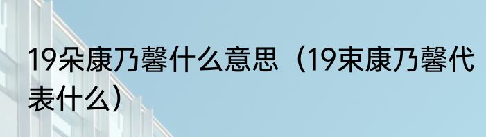 19朵康乃馨什么意思（19束康乃馨代表什么）