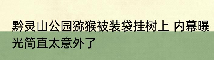 黔灵山公园猕猴被装袋挂树上 内幕曝光简直太意外了