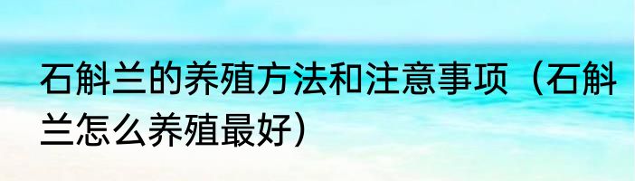 石斛兰的养殖方法和注意事项（石斛兰怎么养殖最好）