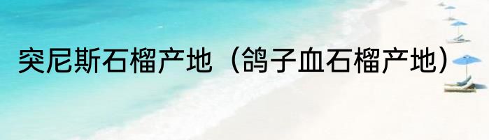 突尼斯石榴产地（鸽子血石榴产地）