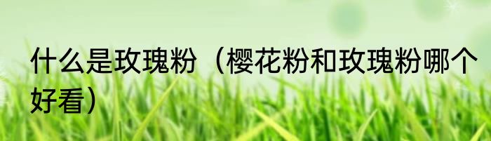 什么是玫瑰粉（樱花粉和玫瑰粉哪个好看）