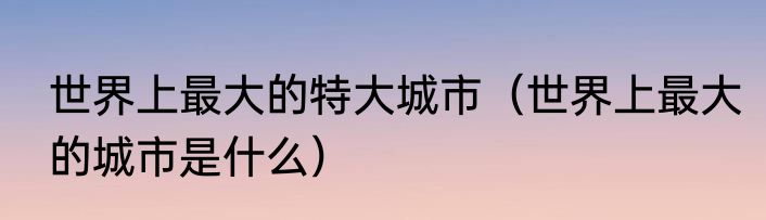 世界上最大的特大城市（世界上最大的城市是什么）