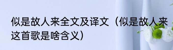 似是故人来全文及译文（似是故人来这首歌是啥含义）