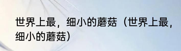 世界上最，细小的蘑菇（世界上最，细小的蘑菇）