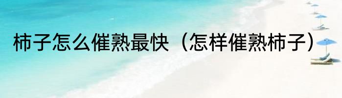 柿子怎么催熟最快（怎样催熟柿子）
