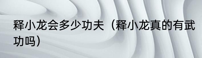 释小龙会多少功夫（释小龙真的有武功吗）