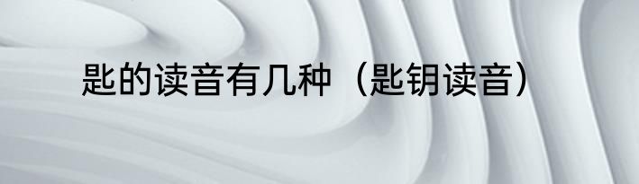 匙的读音有几种（匙钥读音）