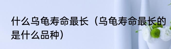 什么乌龟寿命最长（乌龟寿命最长的是什么品种）