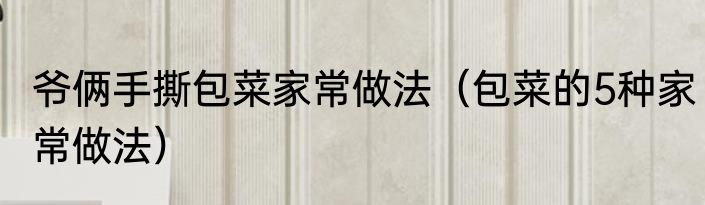 爷俩手撕包菜家常做法（包菜的5种家常做法）