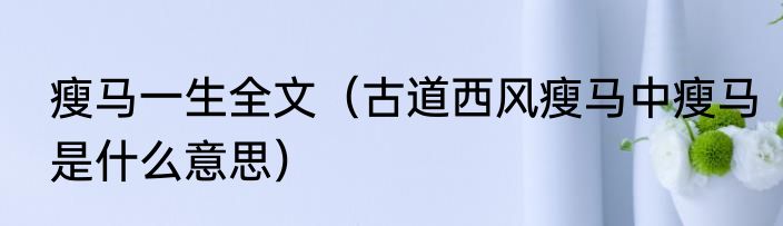 瘦马一生全文（古道西风瘦马中瘦马是什么意思）