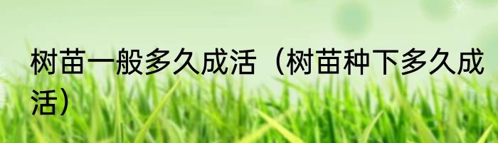 巫妖王毁灭术士pvp天赋怎么点（魔兽世界正式服术士战场什么天赋）