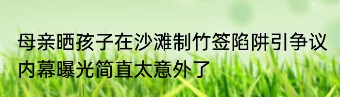 述律太后和萧太后的关系（大宋宫词耶利康是哪个皇帝）