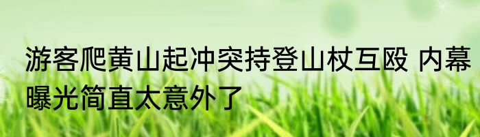 游客爬黄山起冲突持登山杖互殴 内幕曝光简直太意外了