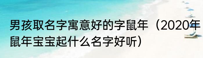 男孩取名字寓意好的字鼠年（2020年鼠年宝宝起什么名字好听）