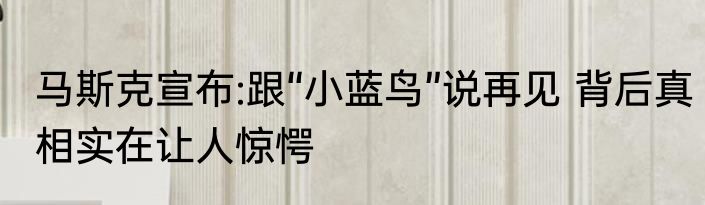 马斯克宣布:跟“小蓝鸟”说再见 背后真相实在让人惊愕
