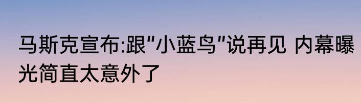 马斯克宣布:跟“小蓝鸟”说再见 内幕曝光简直太意外了