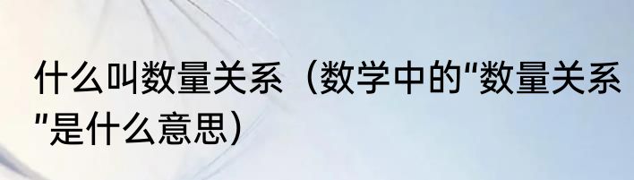 什么叫数量关系（数学中的“数量关系”是什么意思）