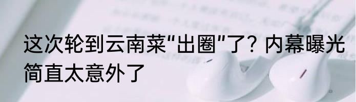 这次轮到云南菜“出圈”了? 内幕曝光简直太意外了