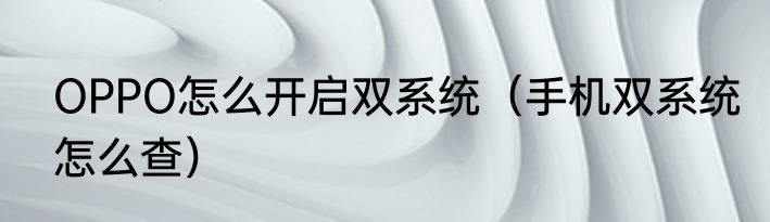 OPPO怎么开启双系统（手机双系统怎么查）