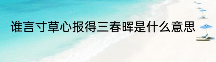 谁言寸草心报得三春晖是什么意思