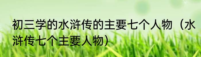 初三学的水浒传的主要七个人物（水浒传七个主要人物）