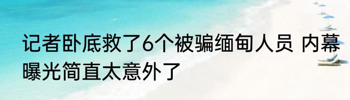 一年四季适合水培的植物（水养花小窍门方法）