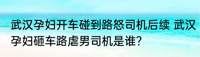 武汉孕妇开车碰到路怒司机后续 武汉孕妇砸车路虐男司机是谁？