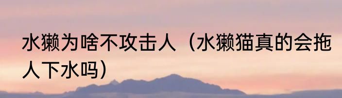 水獭为啥不攻击人（水獭猫真的会拖人下水吗）