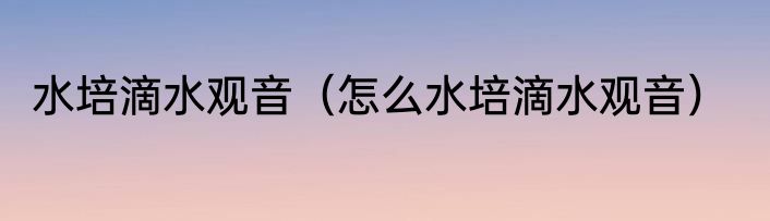水培滴水观音（怎么水培滴水观音）