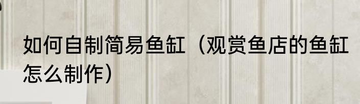 如何自制简易鱼缸（观赏鱼店的鱼缸怎么制作）