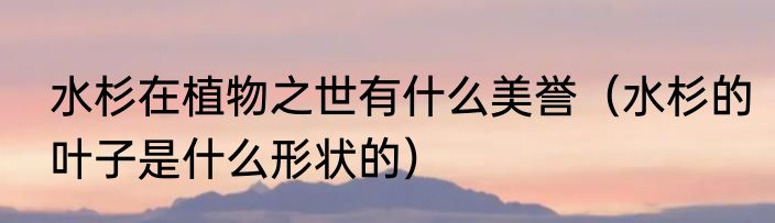 水杉在植物之世有什么美誉（水杉的叶子是什么形状的）