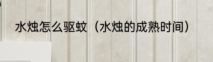水烛怎么驱蚊（水烛的成熟时间）