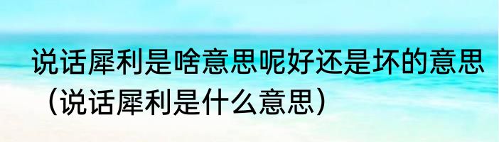 说话犀利是啥意思呢好还是坏的意思（说话犀利是什么意思）