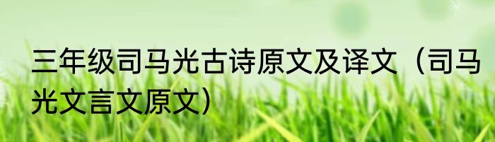 三年级司马光古诗原文及译文（司马光文言文原文）