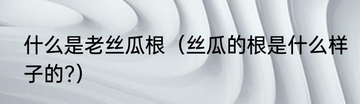 什么是老丝瓜根（丝瓜的根是什么样子的?）