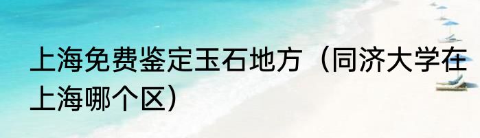 上海免费鉴定玉石地方（同济大学在上海哪个区）