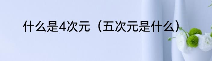什么是4次元（五次元是什么）