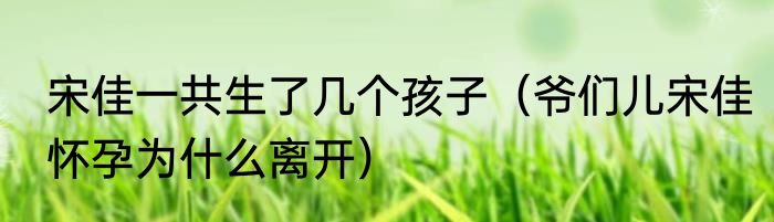 宋佳一共生了几个孩子（爷们儿宋佳怀孕为什么离开）