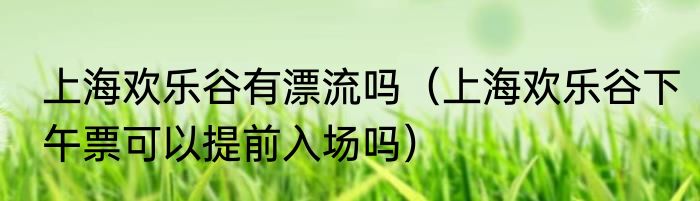 上海欢乐谷有漂流吗（上海欢乐谷下午票可以提前入场吗）