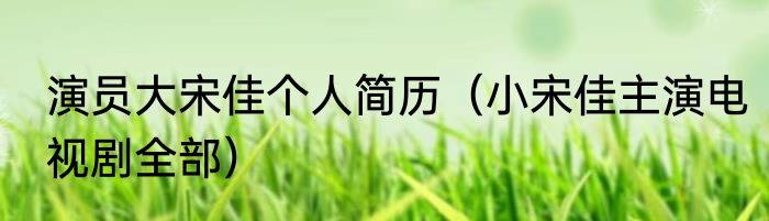 演员大宋佳个人简历（小宋佳主演电视剧全部）