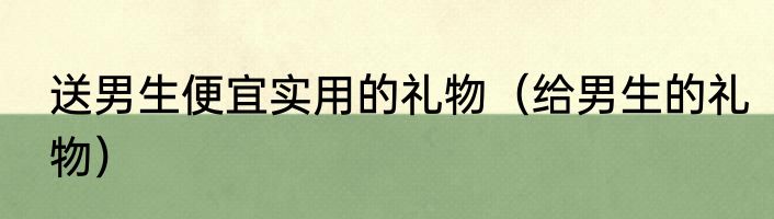 送男生便宜实用的礼物（给男生的礼物）