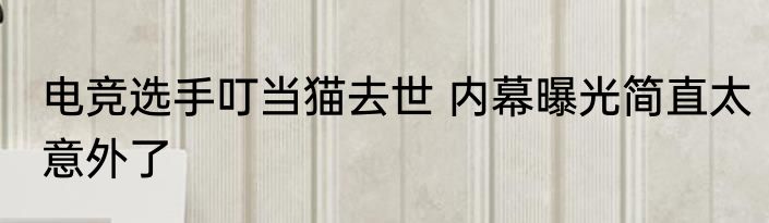 电竞选手叮当猫去世 内幕曝光简直太意外了