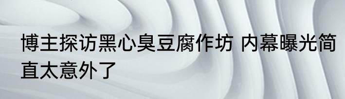 博主探访黑心臭豆腐作坊 内幕曝光简直太意外了