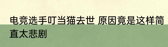 电竞选手叮当猫去世 原因竟是这样简直太悲剧
