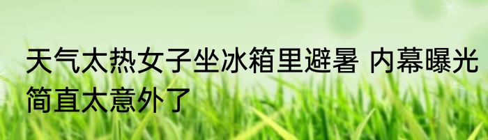 天气太热女子坐冰箱里避暑 内幕曝光简直太意外了