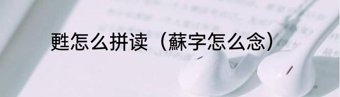 甦怎么拼读（蘇字怎么念）