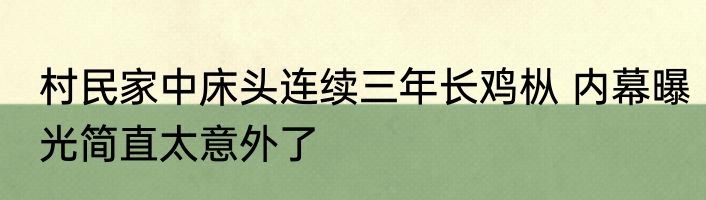 村民家中床头连续三年长鸡枞 内幕曝光简直太意外了
