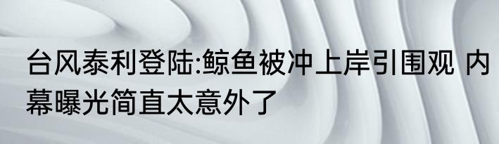 台风泰利登陆:鲸鱼被冲上岸引围观 内幕曝光简直太意外了